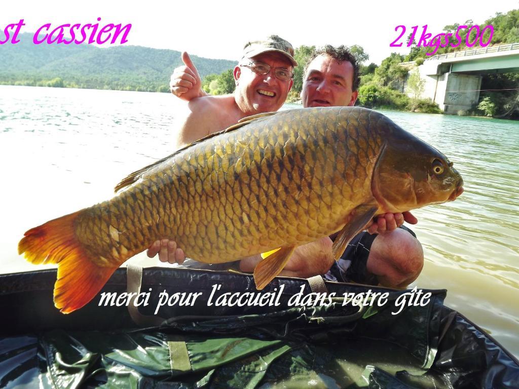 Gite De Saint Cassien 몬투르 외부 사진